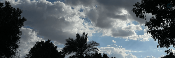 ‌Bahar Shahris‌'s header picture