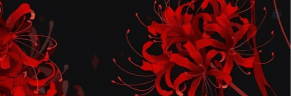 ‌BOB‌'s header picture