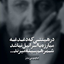 Profile picture of ‌رضا قهاری‌