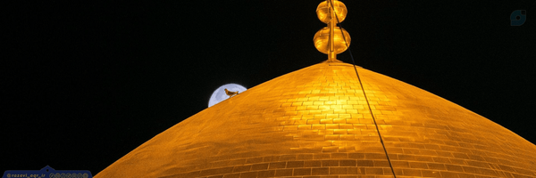 ‌امیرحسین‌'s header picture