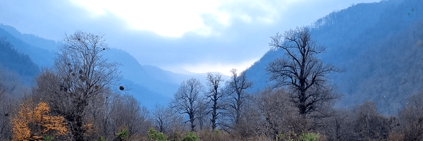 ‌حمیدرضا جوادزاده‌'s header picture