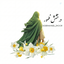 Profile picture of ‌درخشش ظهور🏴‌