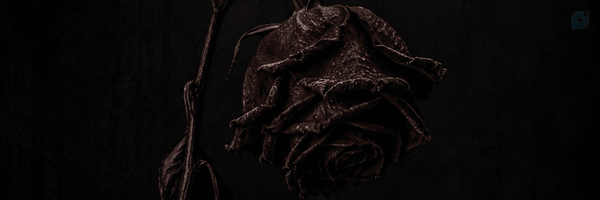 ‌آقای هیچ‌'s header picture
