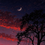 Profile picture of ‌محسـن‌