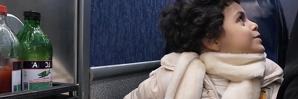 ‌مهشاد نوروزی‌'s header picture