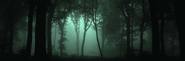 ‌سینا سروری‌'s header picture