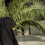 Profile picture of ‌جباری‌