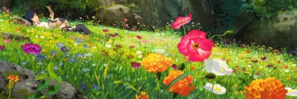 ‌judy‌'s header picture