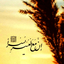 Profile picture of ‌Elnaz Allahyari‌
