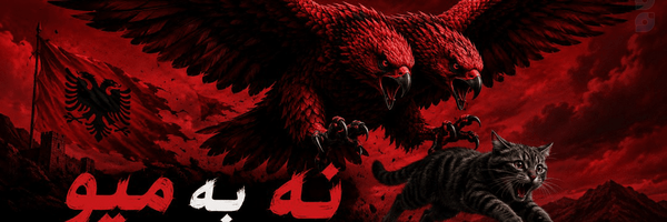 ‌دو دو³ 🇦🇱‌'s header picture