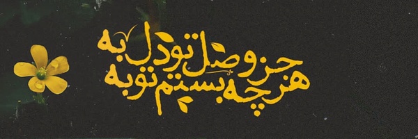 ‌سید حسین مصطفوی‌'s header picture