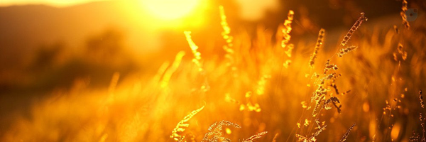 ‌آقای گلدن تایم‌'s header picture
