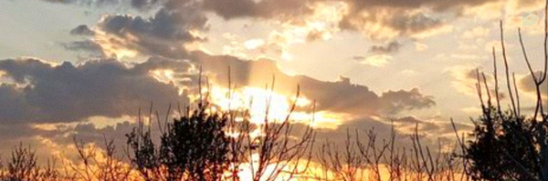 ‌رضا پوراستاد‌'s header picture