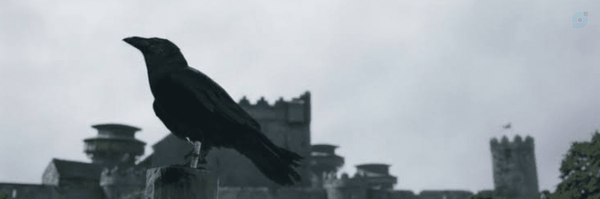 ‌Raven³‌'s header picture