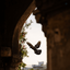 Profile picture of ‌Fotros‌