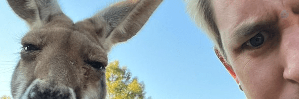 ‌ابن مشغله‌'s header picture
