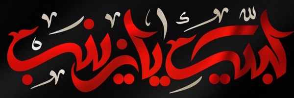 ‌AmirAli.113.110‌'s header picture