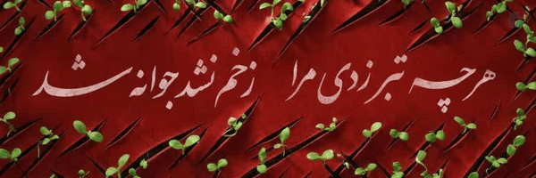 ‌MAJID Irajinia‌'s header picture