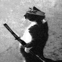 Profile picture of ‌NINJA XNS‌