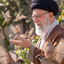 Profile picture of ‌Zahra Mohammadi‌