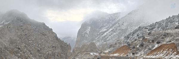 ‌Omid‌'s header picture