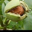 Profile picture of ‌خوشا به حالت ای روستایی ،،‌