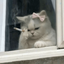 Profile picture of ‌Ym‌