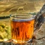 Profile picture of ‌رضا رحمانیان‌