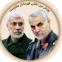 Profile picture of ‌س. نیرومند‌