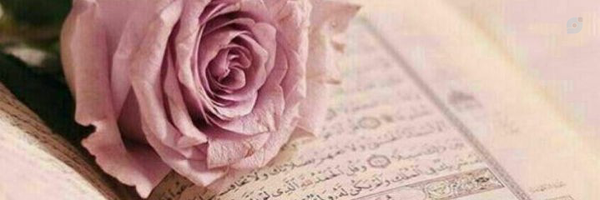 ‌Rezvanteb‌'s header picture