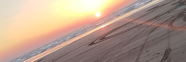 ‌هادی نظری‌'s header picture