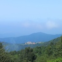 Profile picture of ‌ایمان مهربانپور‌