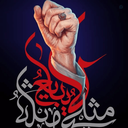 Profile picture of ‌سید جواد محمدی‌