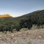 Profile picture of ‌Ridge‌