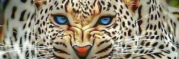 ‌جعفر رحیمی‌'s header picture