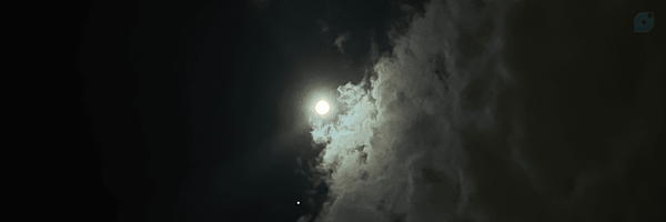 ‌AYDA‌'s header picture