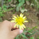 Profile picture of ‌Máryám ,, b‌