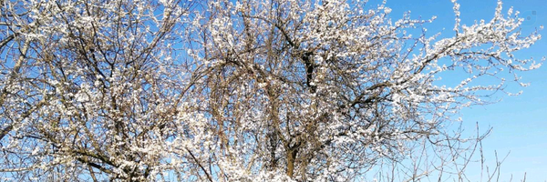 ‌علی رضا‌'s header picture