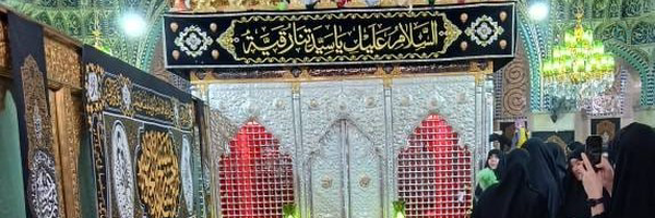 ‌محمد تفکر 🌴‌'s header picture
