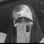 Profile picture of ‌zahra🎒‌