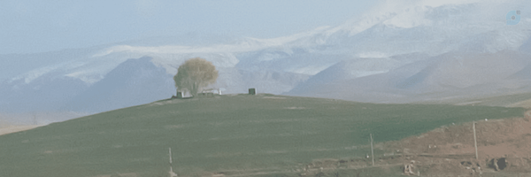 ‌Mahdi‌'s header picture