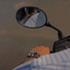 Profile picture of ‌𐙚Z‌