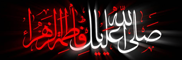 ‌محمدرضا ایرانی‌'s header picture