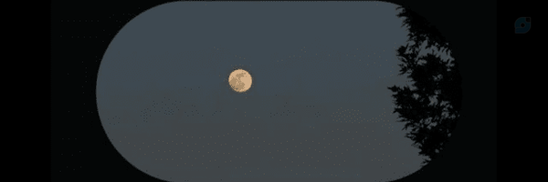 ‌𝘌𝘭𝘪𝘳𝘢𝘯‌'s header picture