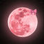 Profile picture of ‌kiana‌