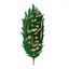 Profile picture of ‌غلام رضا‌
