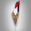 Profile picture of ‌عمادالدین🏴‌