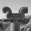 Profile picture of ‌IRAN (PASARGAD)‌