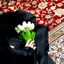 Profile picture of ‌لا ادری‌