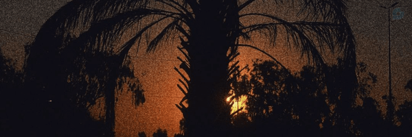 ‌دختر بابایی‌'s header picture